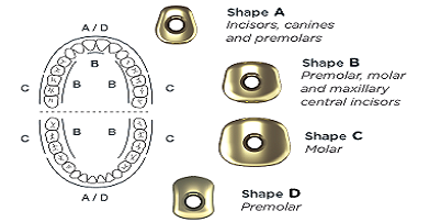 carac_iphysio_formes_en_sapling