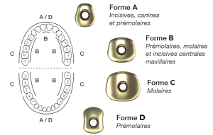 carac_iphysio_formes_fr